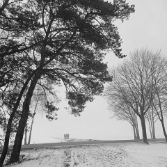 WhatsApp Image 2026-02-08 at 15.41.53_7